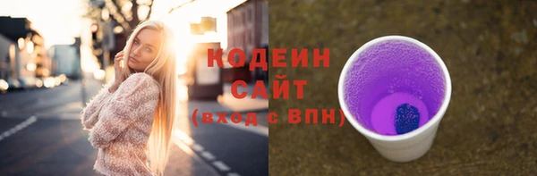 соль ск Надым