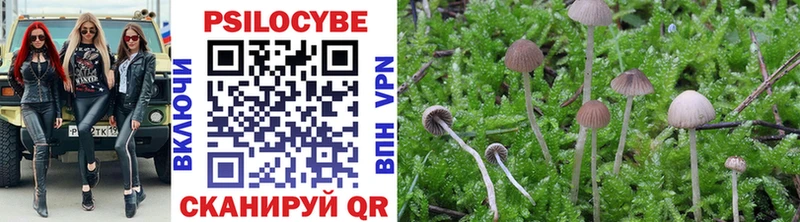Псилоцибиновые грибы MAGIC MUSHROOMS  Усть-Катав 